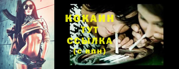 тгк Иннополис