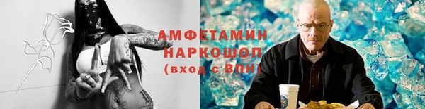 стафф Инта