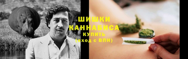 стафф Каменка