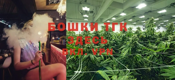 тгк Иннополис