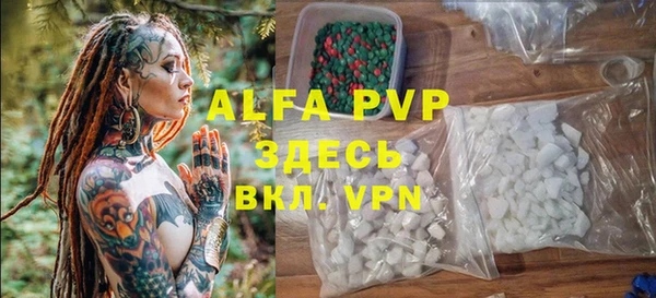 стафф Инта