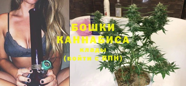 стафф Каменка
