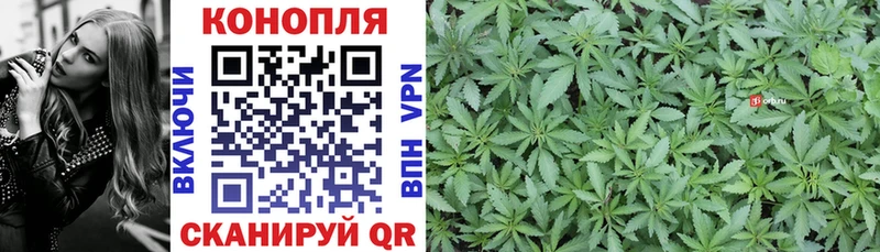 Бошки Шишки VHQ  Купить закладки  Елабуга 